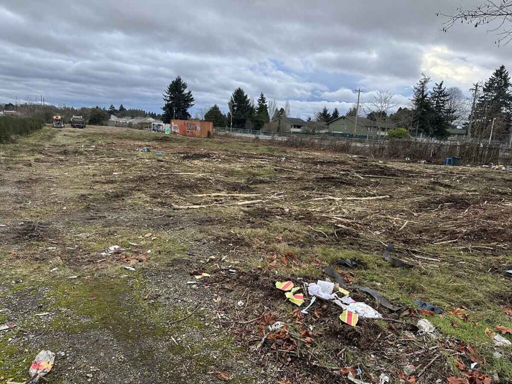 Land Clearing Service Job Tacoma, WA 2