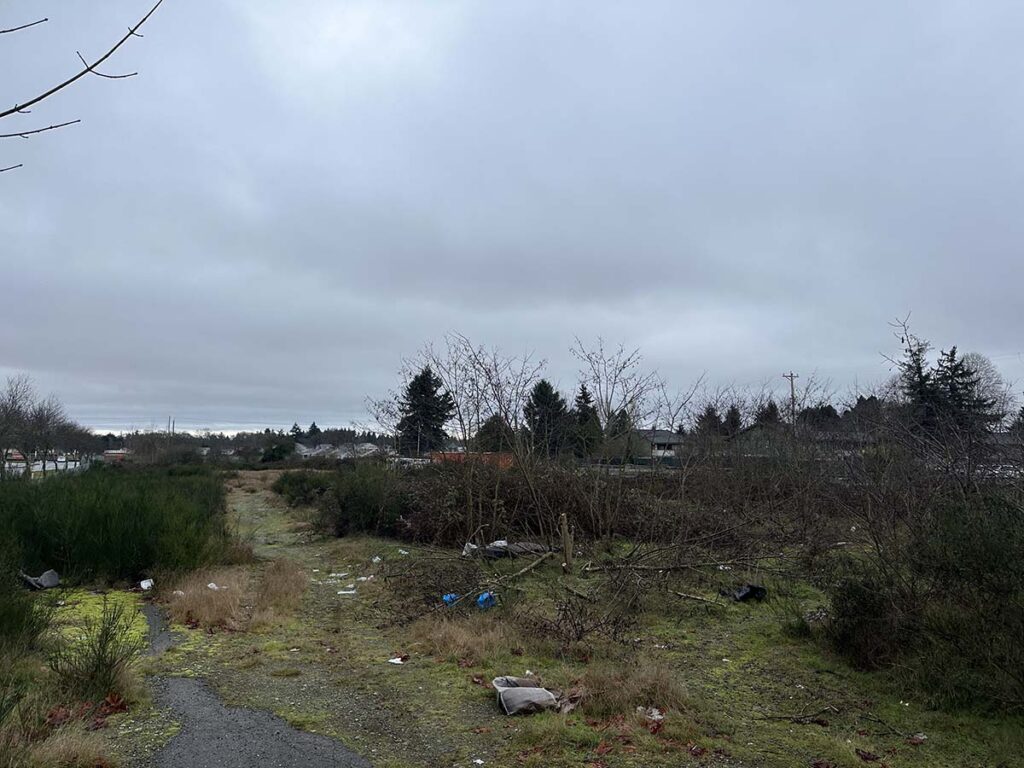 Land Clearing Service Job Tacoma, WA
